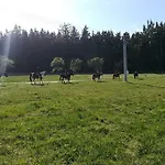 公寓 Farma Ranch Jelemek *