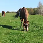 Farma Ranch Jelemek 公寓