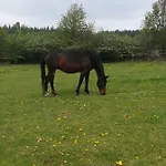 Farma Ranch Jelemek * Nebahovy