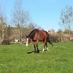 Farma Ranch Jelemek Nebahovy
