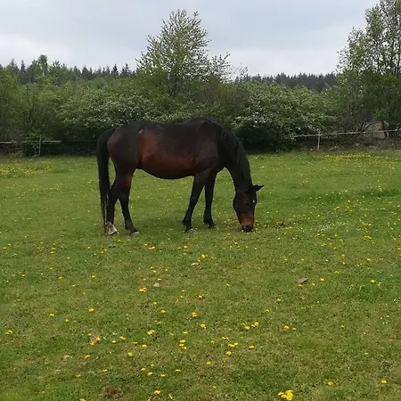 Farma Ranch Jelemek * Nebahovy