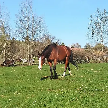 Farma Ranch Jelemek Nebahovy