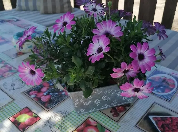 Farma Ranch Jelemek * Nebahovy