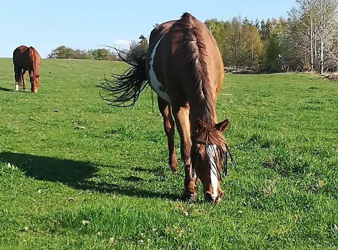 Farma Ranch Jelemek Lägenhet