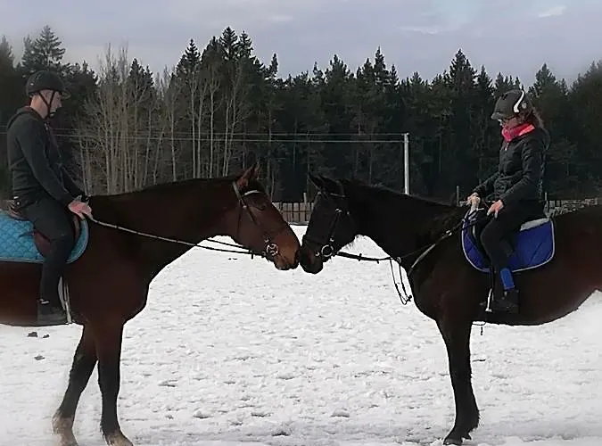 Lägenhet Farma Ranch Jelemek Nebahovy