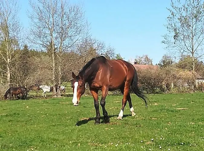 Farma Ranch Jelemek Nebahovy