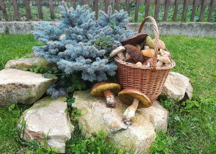 Farma Ranch Jelemek Nebahovy