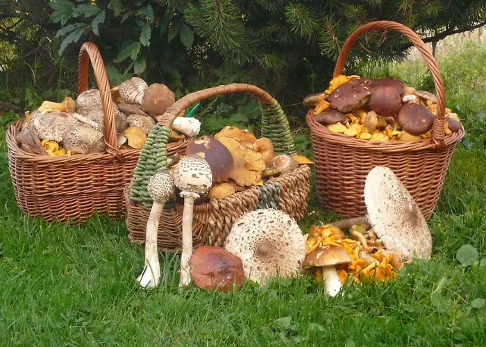 Lägenhet Farma Ranch Jelemek *